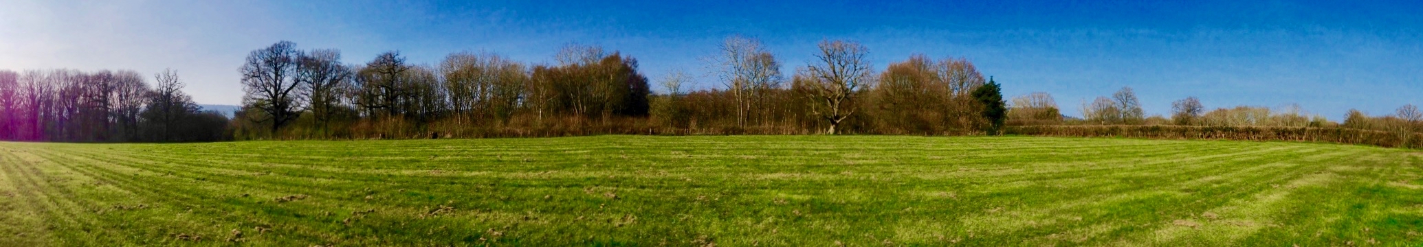 Etherley Farm