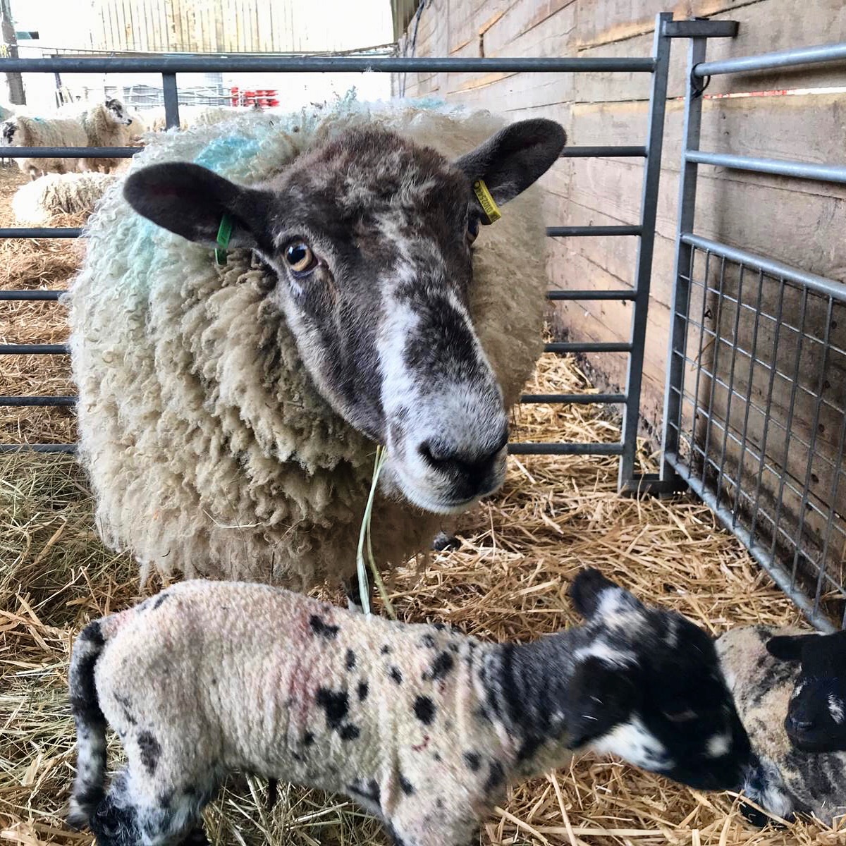 Photo 02-04-2019, 12 15 11