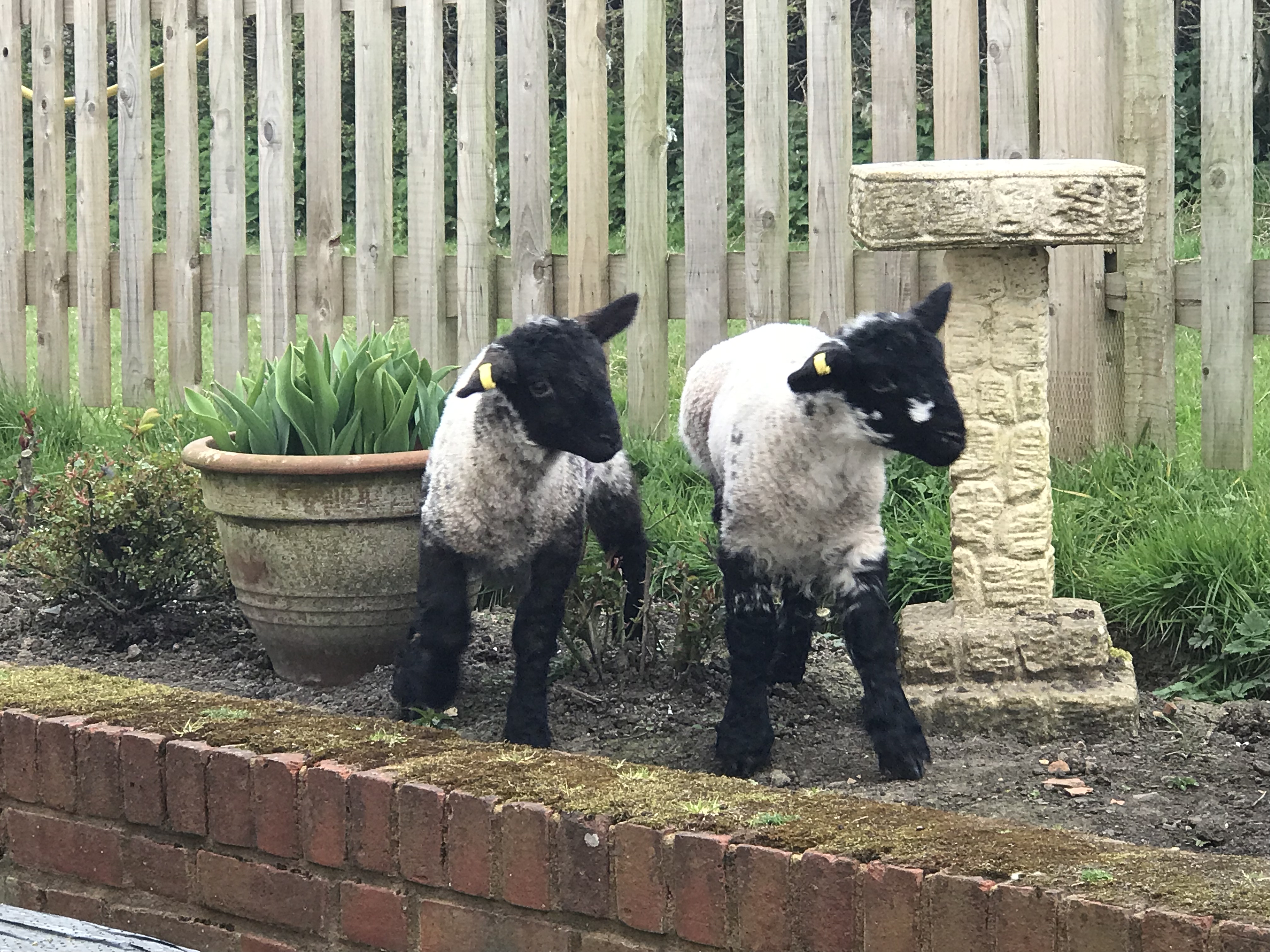 Photo 16-04-2019, 17 13 56
